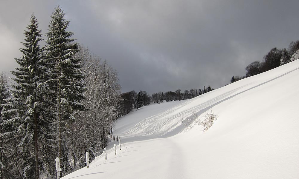 tirolerkogel